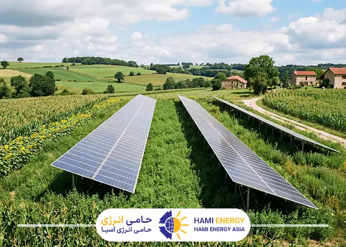 چه محصولاتی برای کشاورزی خورشیدی مناسب هستند
