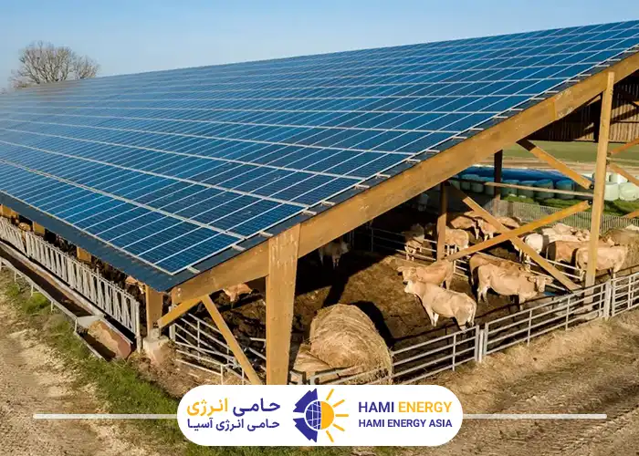 استاندارد تجهیزات: نکات کلیدی برای محیط‌های دامی