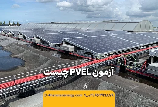 آزمون PVEL چیست